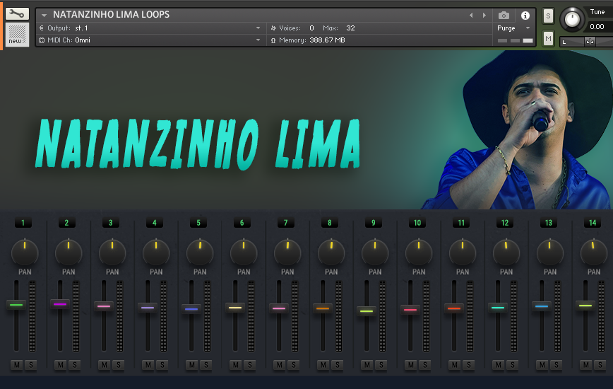 Natanzinho Lima Loops