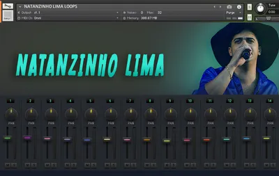 Natanzinho Lima Loops
